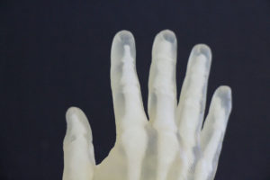 3D Printed Skeletal Hand